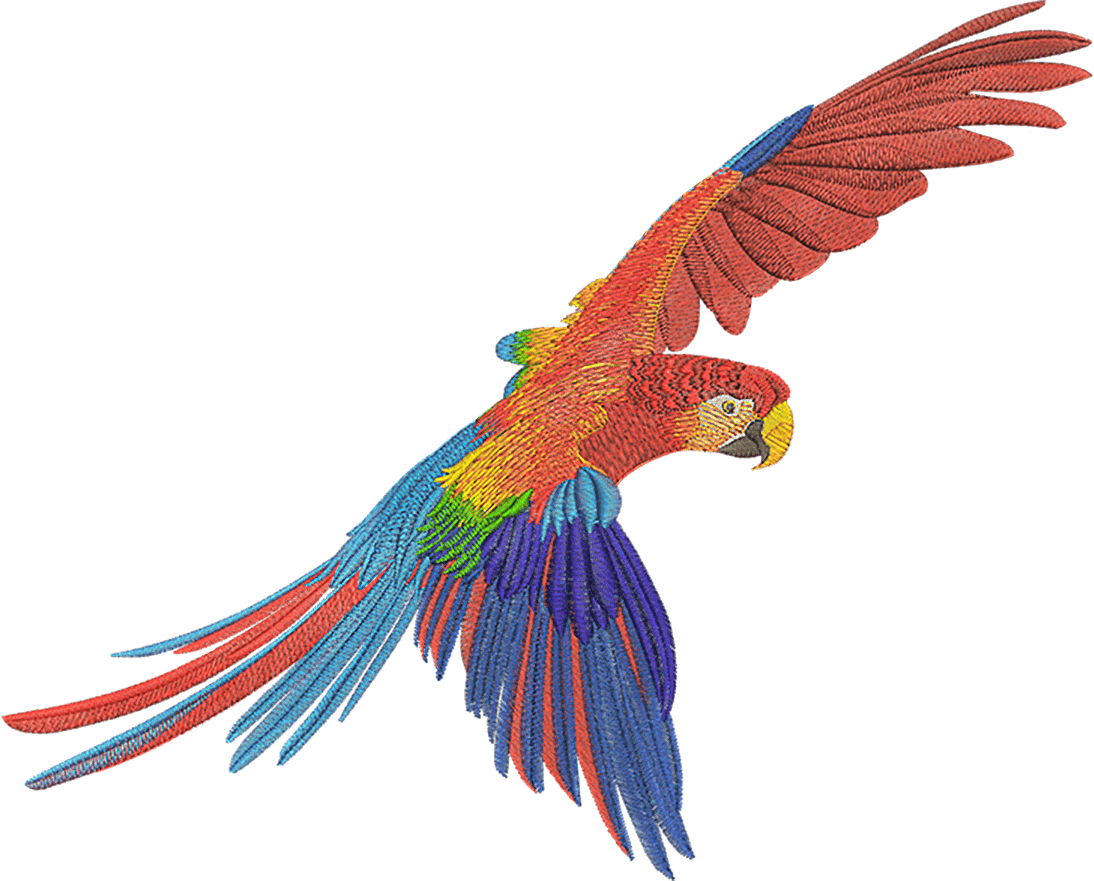 parrot embroidery